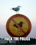 images/avatars/avatar-2292.jpg